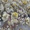 1 Yard Beaded 3D Floral Lace Fabric 51" Wide Embroidered Bridal, Quinceañera & Evening Dress Lace